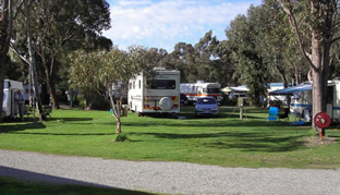 camp